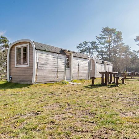 Naturcamping Lueneburger Heide - Chalets & Tiny Haeuser Soltau Buitenkant foto